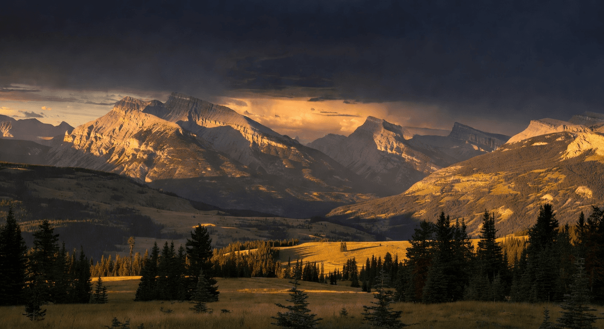 Cranbrook